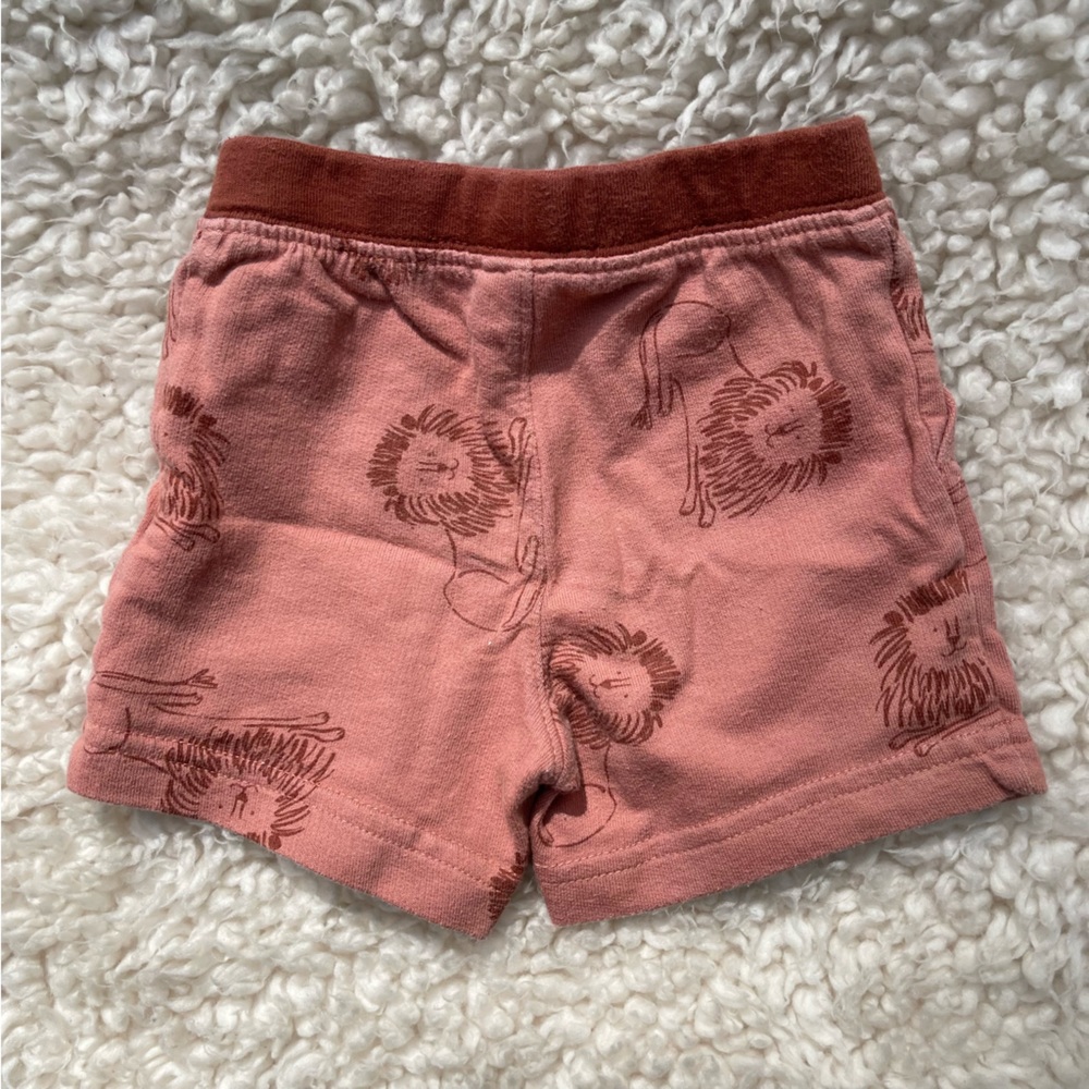 Carters Short Set - Picture 5 of 6